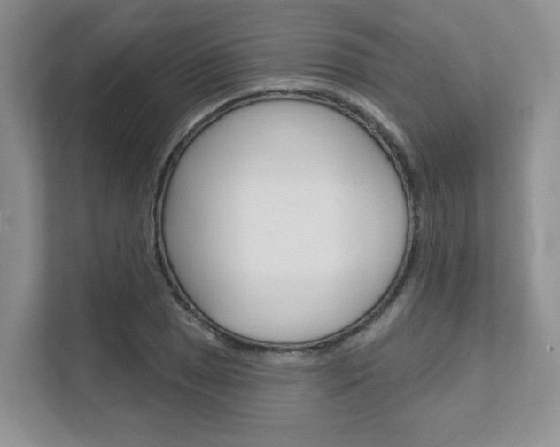 X0000111891025200907231443