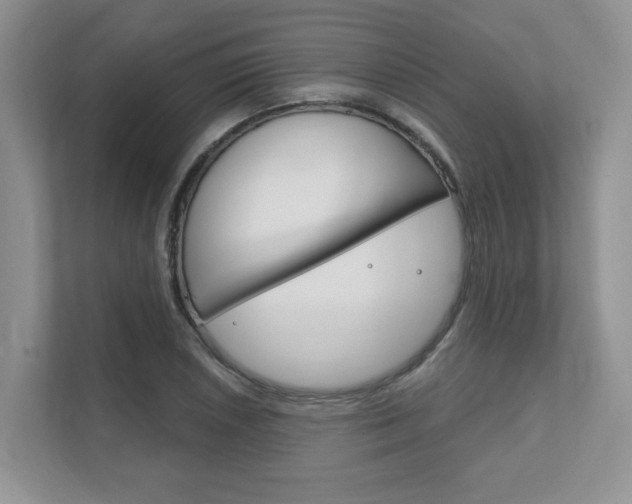 X0000111891026200907231443