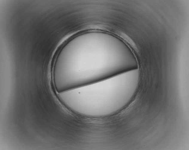 X0000111891028200907231443