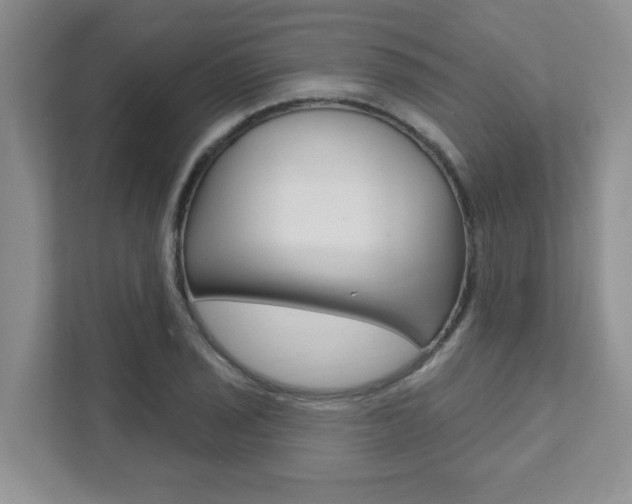 X0000111891029200907231443
