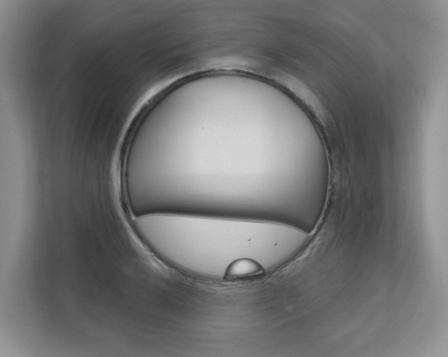 X0000111891032200907231443