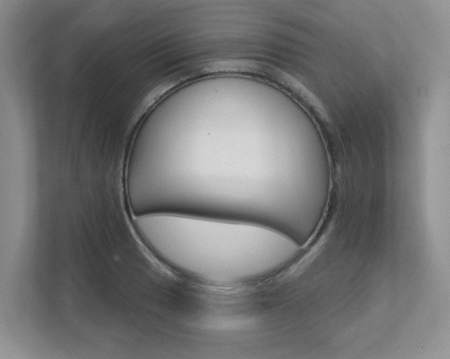 X0000111891033200907231443