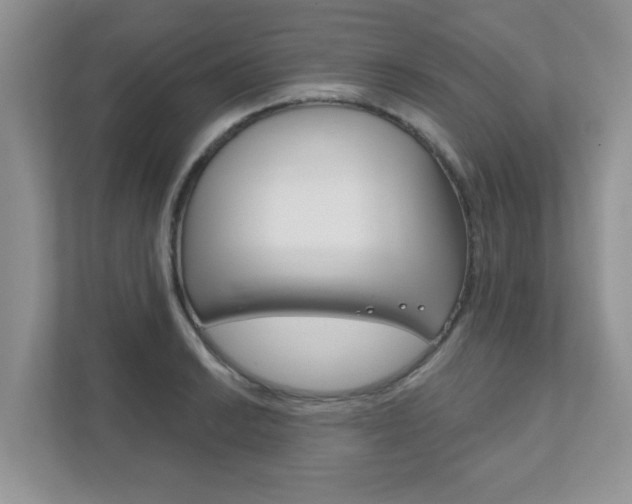 X0000111891038200907231443