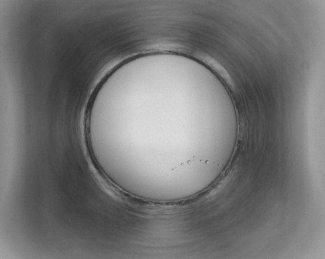 X0000111891039200907231443