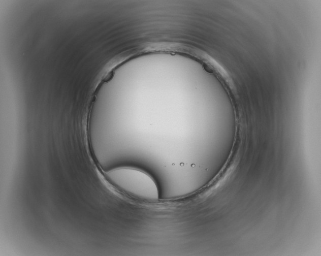 X0000111891041200907231443