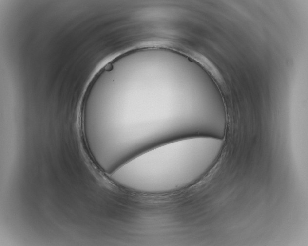 X0000111891044200907231443