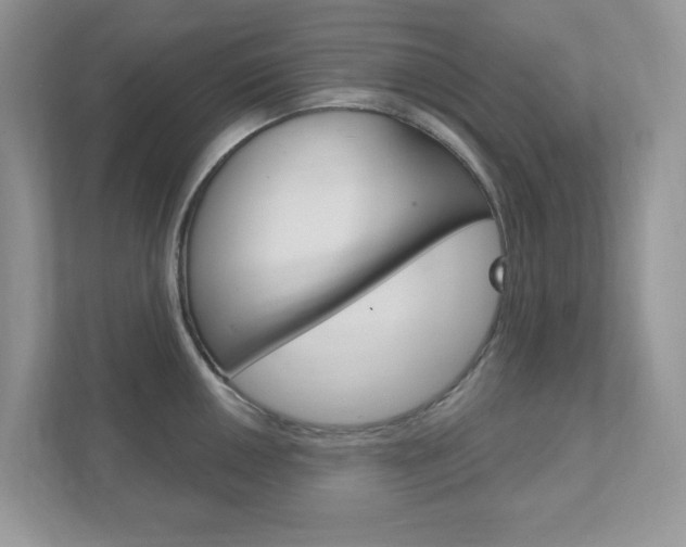 X0000111891050200907231443