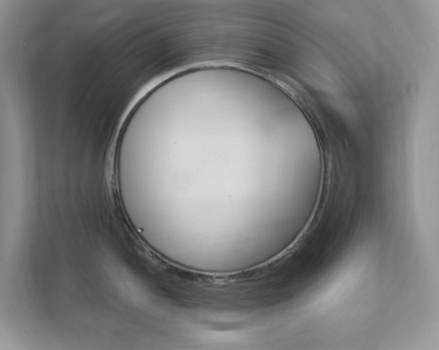 X0000111891052200907231443