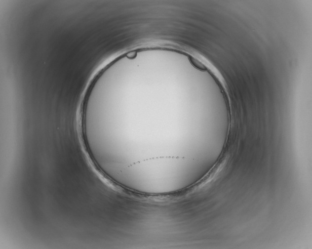 X0000111891053200907231443