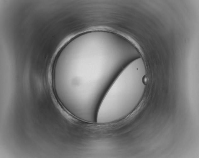 X0000111891054200907231443
