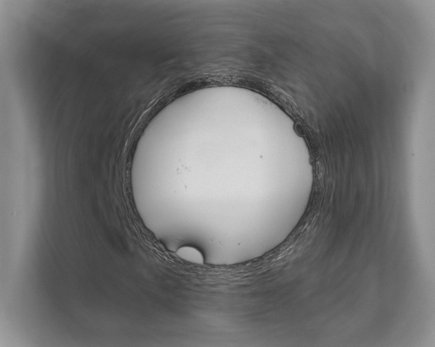 X0000111891057200907231443