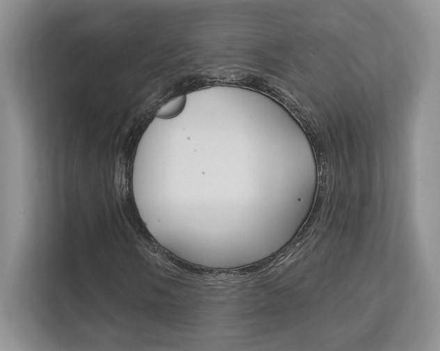 X0000111891058200907231443