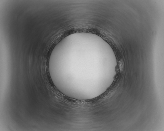 X0000111891059200907231443