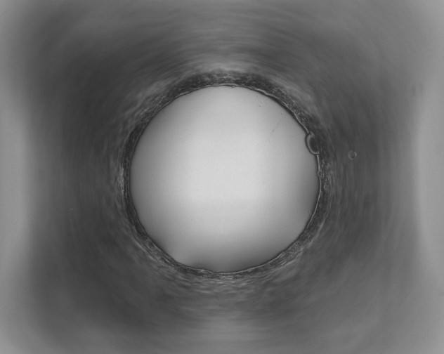 X0000111891061200907231443