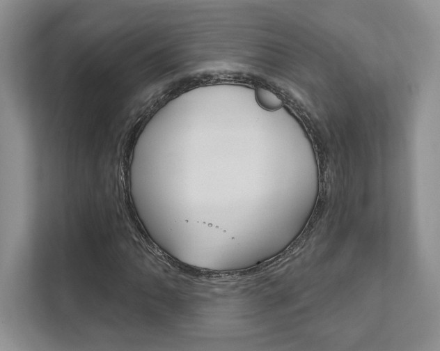 X0000111891062200907231443