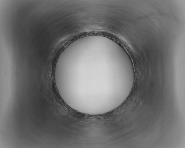 X0000111891063200907231443