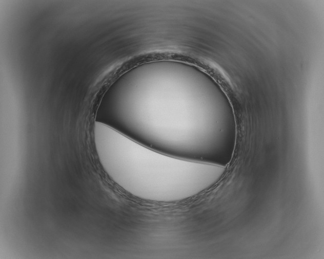 X0000111891064200907231443