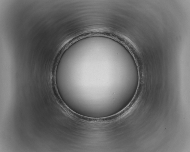 X0000111891065200907231443