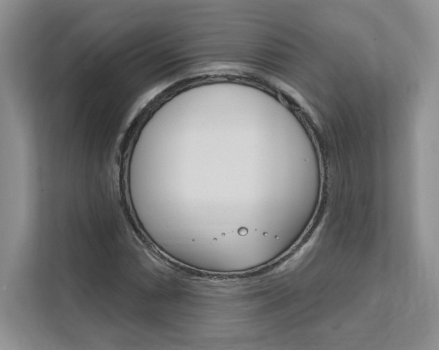 X0000111891066200907231443