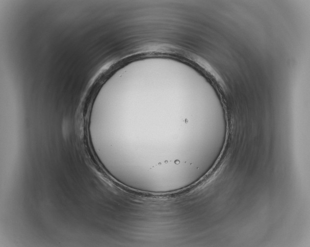 X0000111891067200907231443