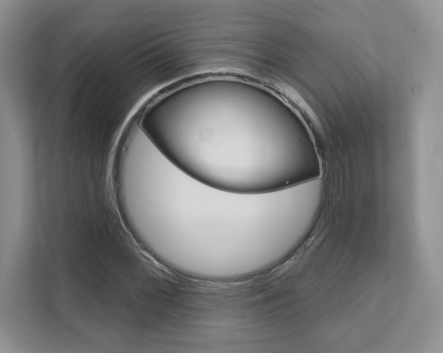 X0000111891068200907231443