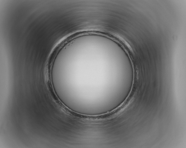 X0000111891069200907231443