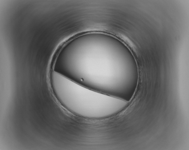 X0000111891072200907231443