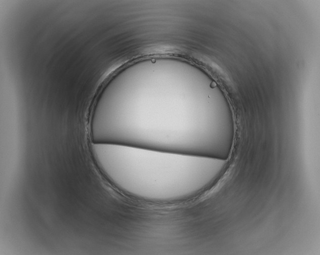 X0000111891073200907231443