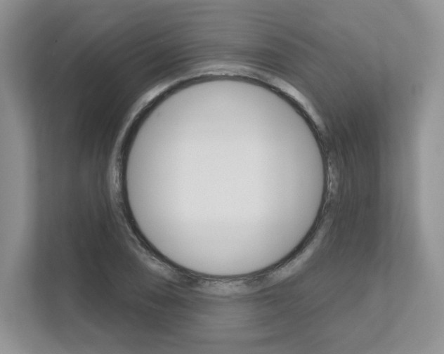 X0000111891074200907231443