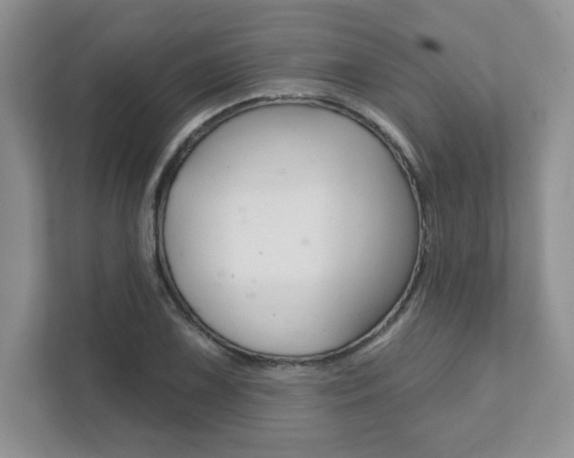 X0000111891075200907231443