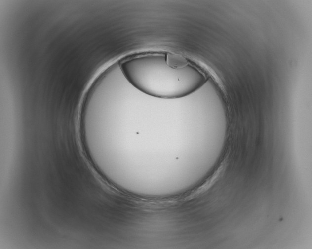 X0000111891077200907231443