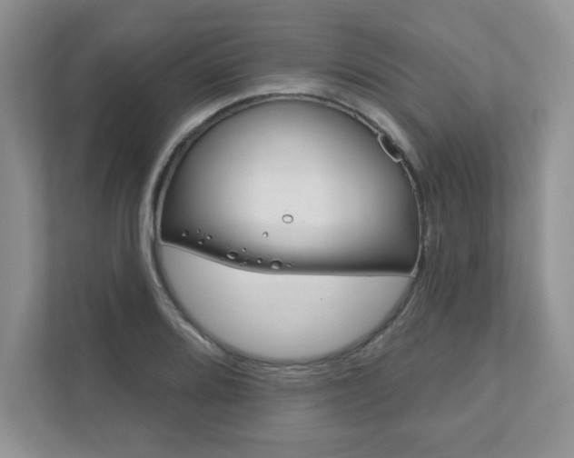 X0000111891080200907231442