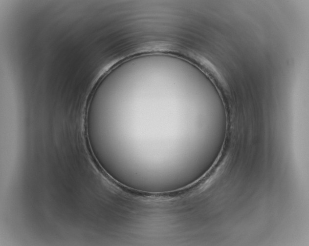 X0000111891081200907231442