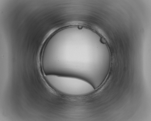 X0000111891082200907231442
