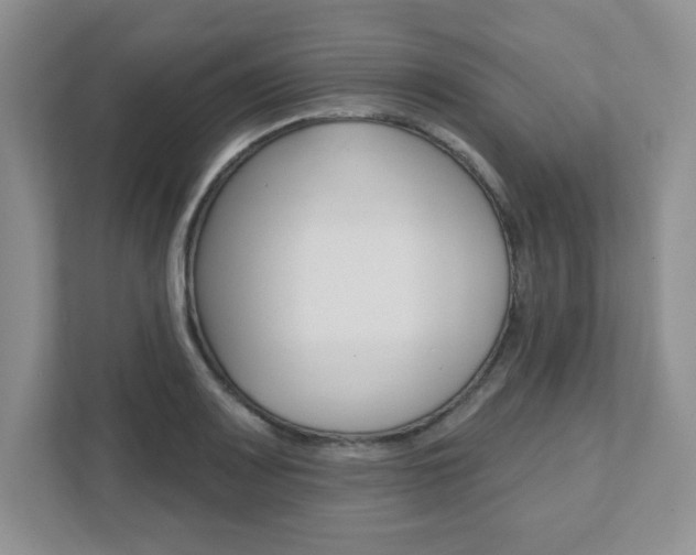 X0000111891083200907231442