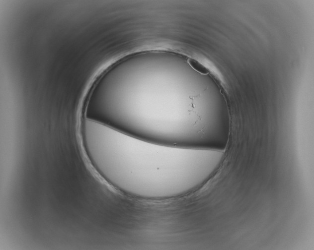 X0000111891088200907231442