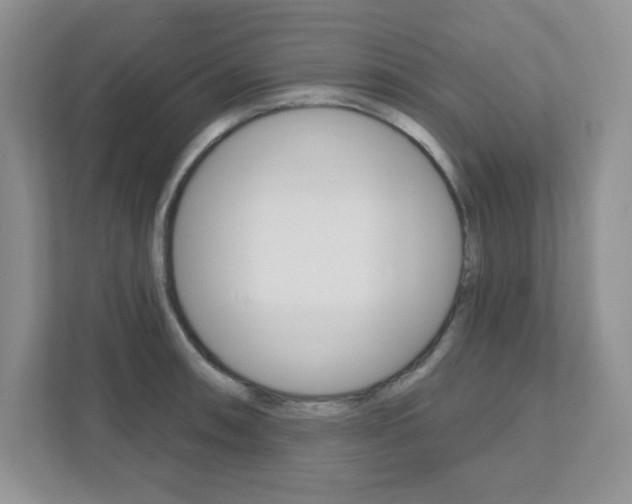 X0000111891090200907231442