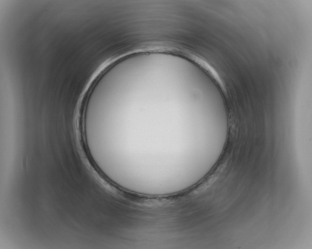 X0000111891091200907231442