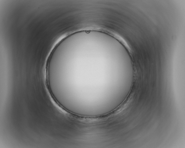 X0000111891095200907231442