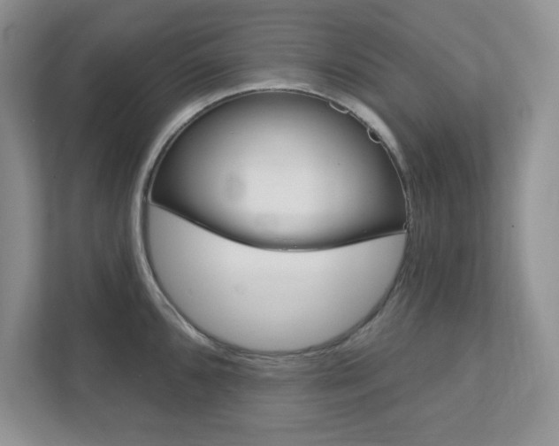 X0000111891096200907231442