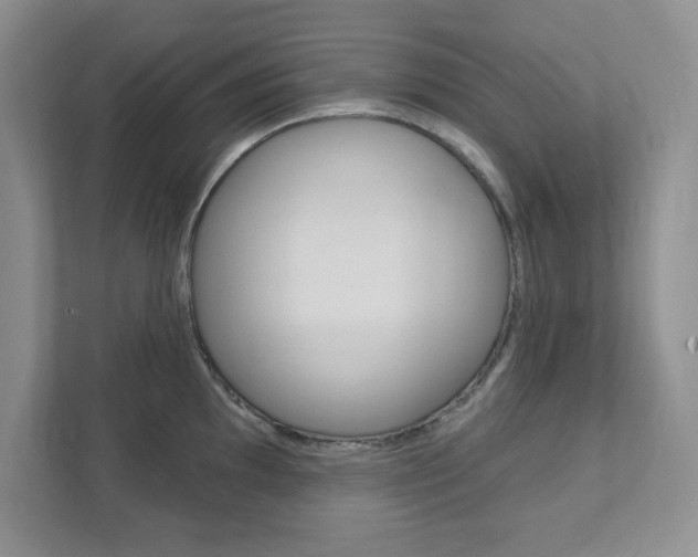X0000111891097200907231442