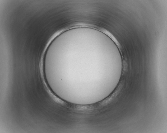 X0000111891098200907231442