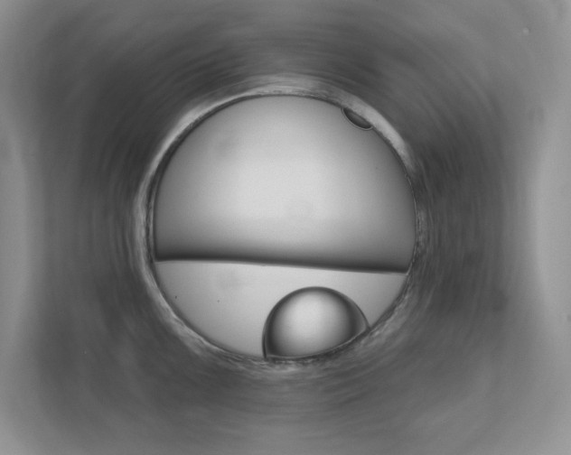 X0000111891099200907231442