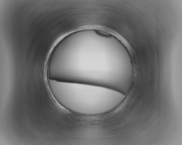 X0000111891102200907231442