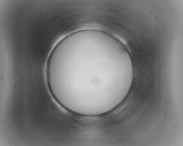 X0000111891103200907231442