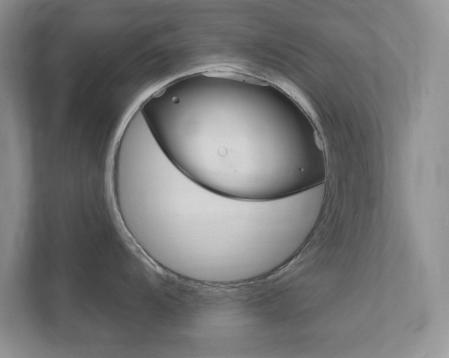 X0000111891104200907231442