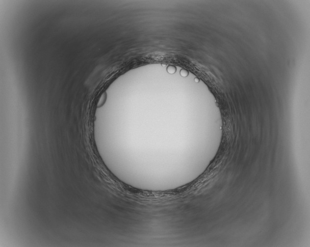 X0000111891105200907231441