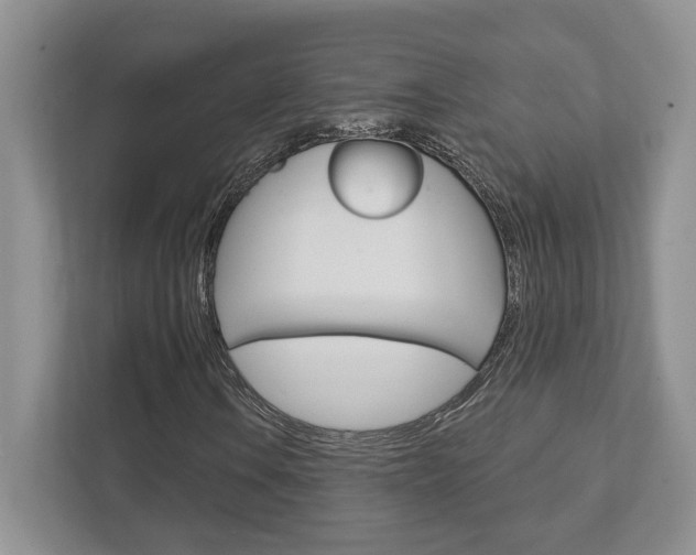 X0000111891106200907231441