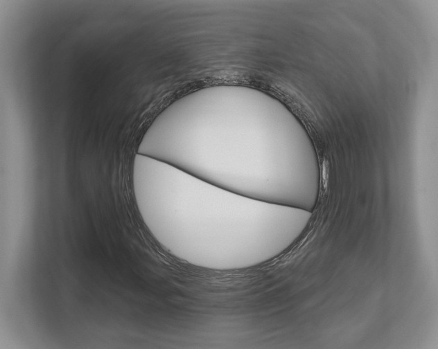 X0000111891107200907231441