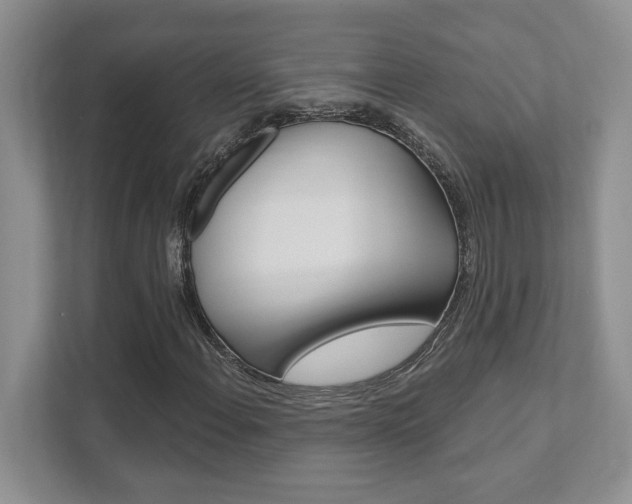 X0000111891108200907231441
